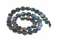 Korálek paua, kolečko 8 mm, 2 ks