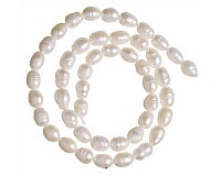 Říční perličky bílé, 6x7-8 mm (37 ks)